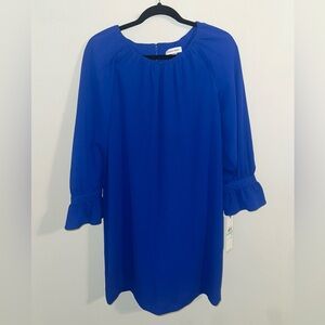 Blue Ruffle Sleeve Dress
